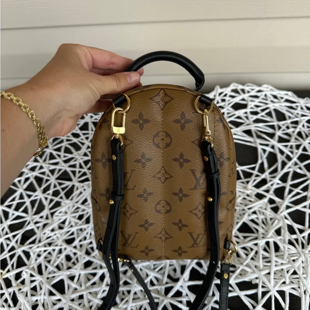 Louis Vuitton Reverse Palm Springs Mini Backpack - Picture 4 of 8